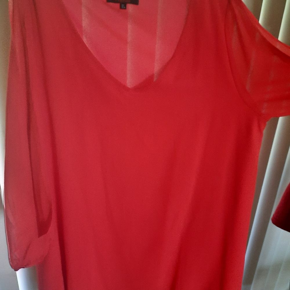 Sheer Tunic dress XL